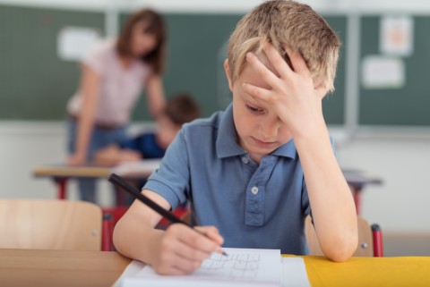 Young boy concentrating on school work